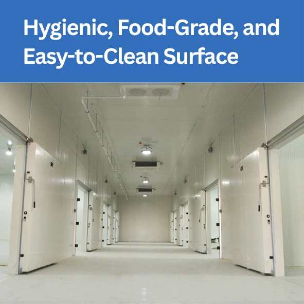 Hygienic, Food-Grade, and Easy-to-Clean Surface